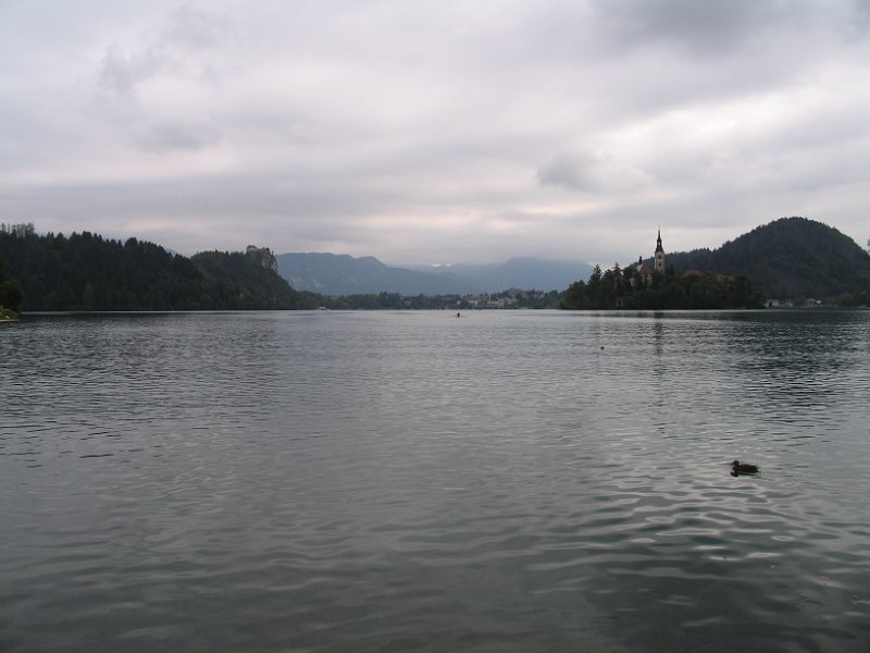 2012-09-07 09-22-38 Ludo.JPG